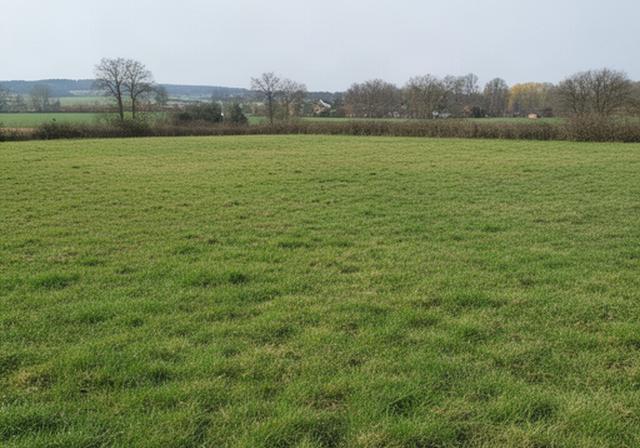 Unbebaute Wiesenfläche im Duderstädter Umland vor der Planung eines Reihenhausprojekts